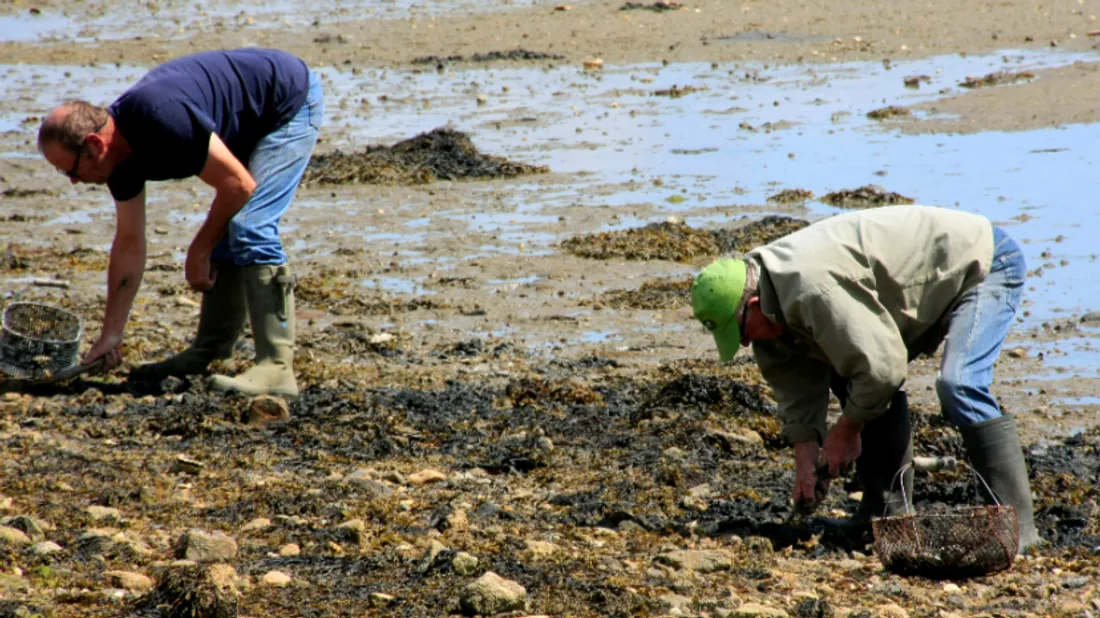 Les conchyliculteurs invités à s'ouvrir au tourisme