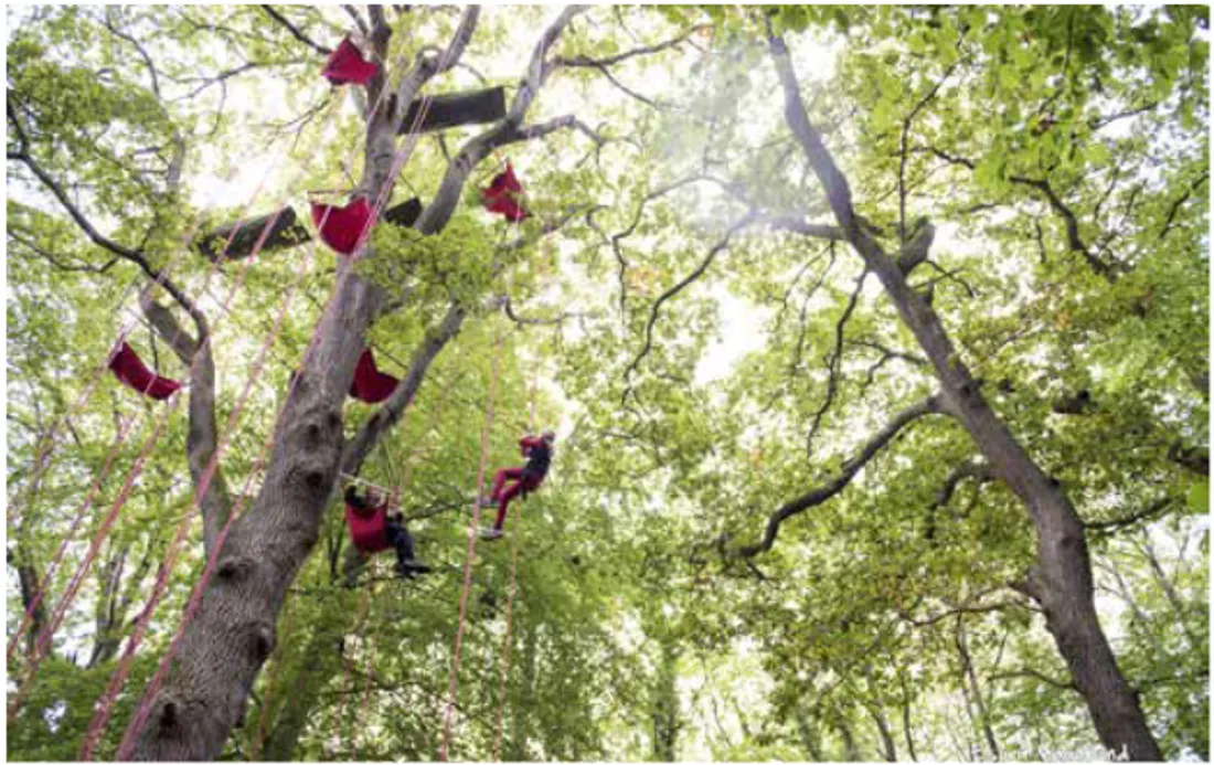 Le domaine propose de découvrir ses arbres, plantes et fleurs.
