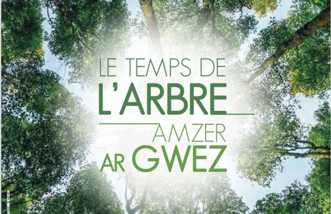 Ce dimanche 2 octobre c'est la 3ème édition du festival Le Temps de l'arbre.