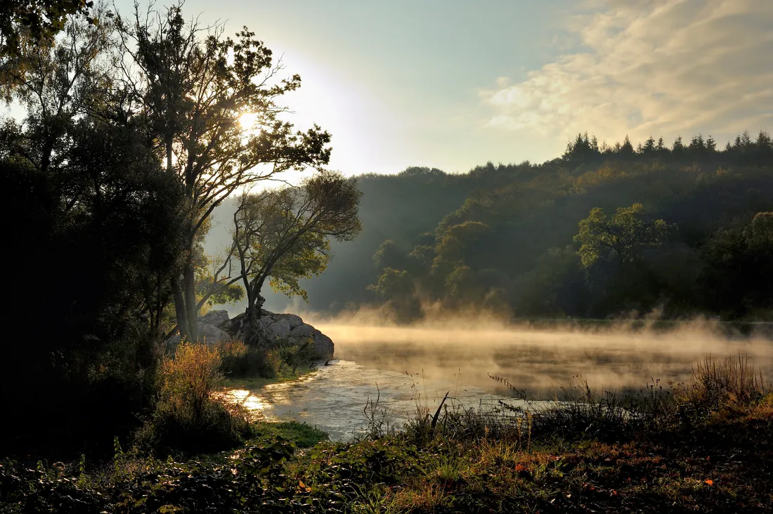 Journée mondiale des zones humides