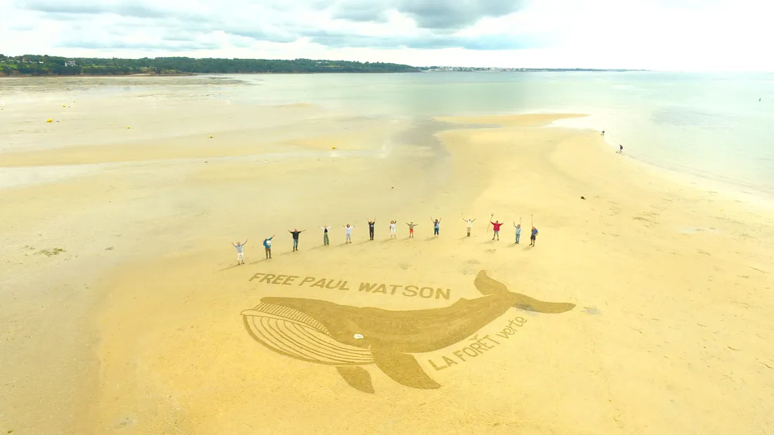 La baleine en mandala sur la plage de Kerléven, à La Forêt-Fouesnant