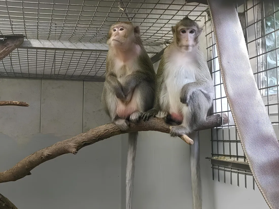 Les Terres de Nataé occupe aussi une fonction de refuge