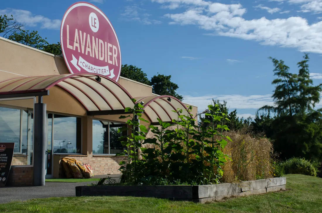 Quatre médailles au concours général agricole du Salon de l'agriculture 2024 