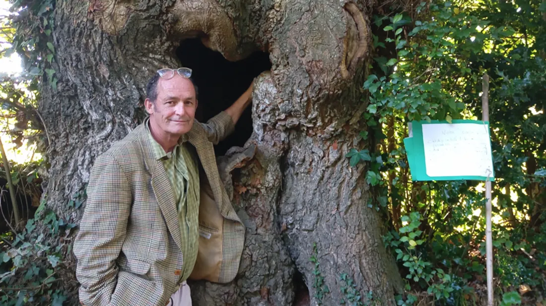 Christophe Desportes