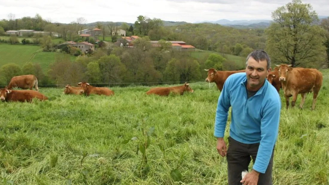Abattage annoncé de 208 bovins au GAEC de Mouriscou