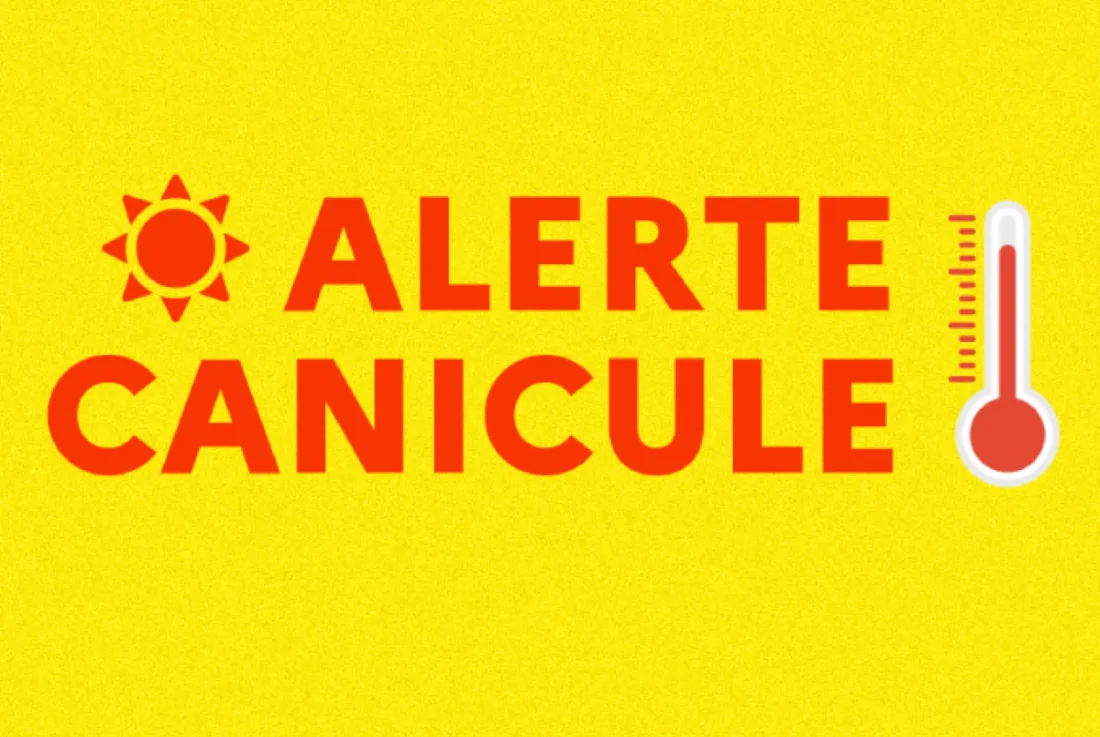 canicule