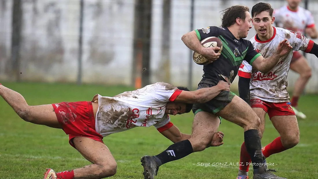 Le point en fédérale du 01 Mars