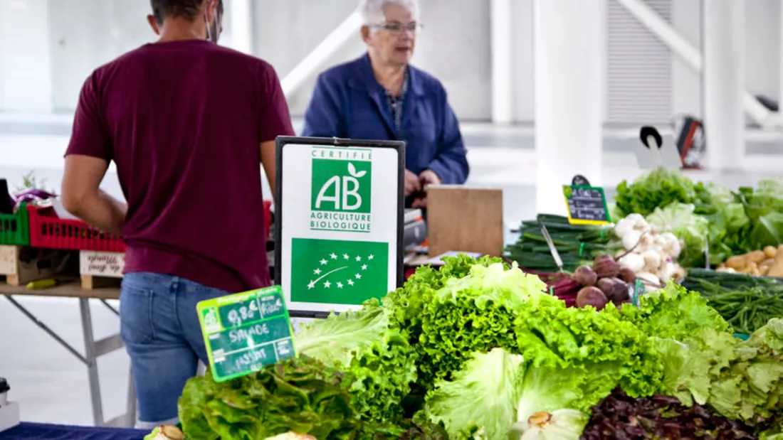 Occitanie : plus de 1,2 M€ mobilisés pour soutenir l’agriculture biologique