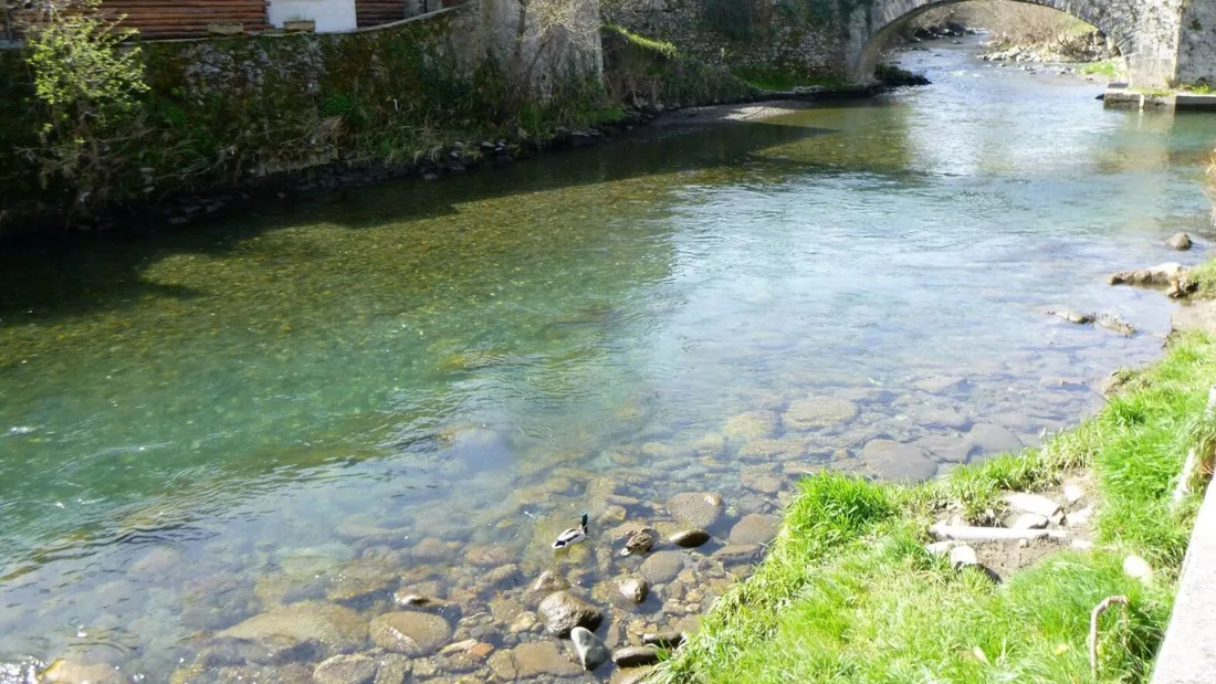 Le Lez : un partage de l’eau sous tension