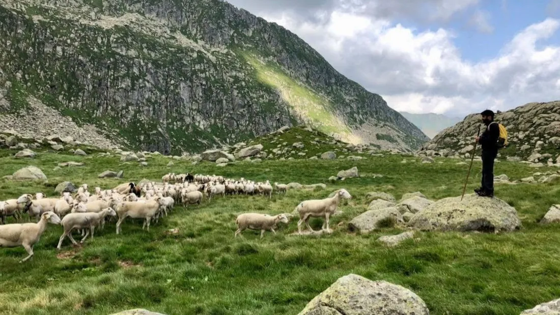 Les Pastorales de Guzet mettent la montagne à l’honneur