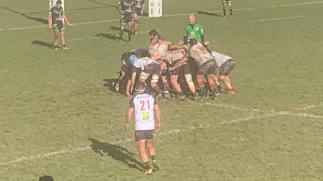 Rugby régional : le Sporting solide, Villefranche et La Salanque en embuscade.