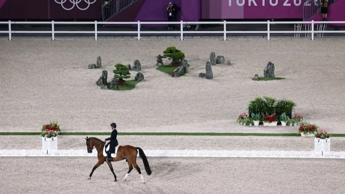 Maine-et-Loire : des champions olympiques au Mondial du Lion ! 