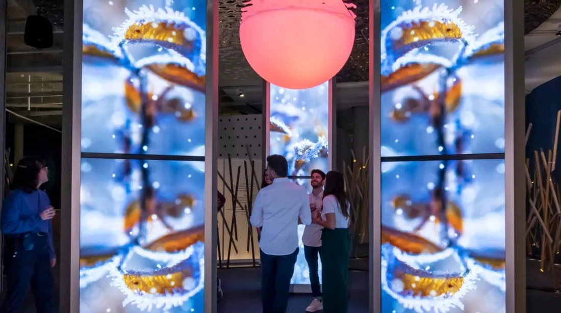 ©Facebook Cité du Vin