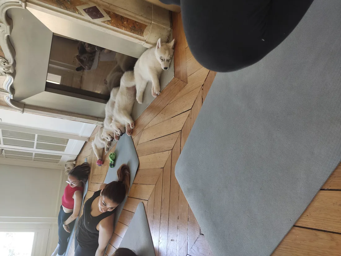 le yoga ça fatigue !