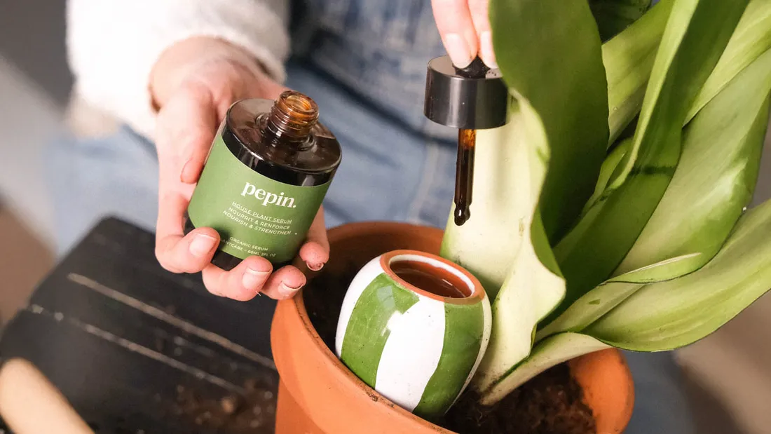 VOLTAGE_S2526_JEUX_PEPIN_01