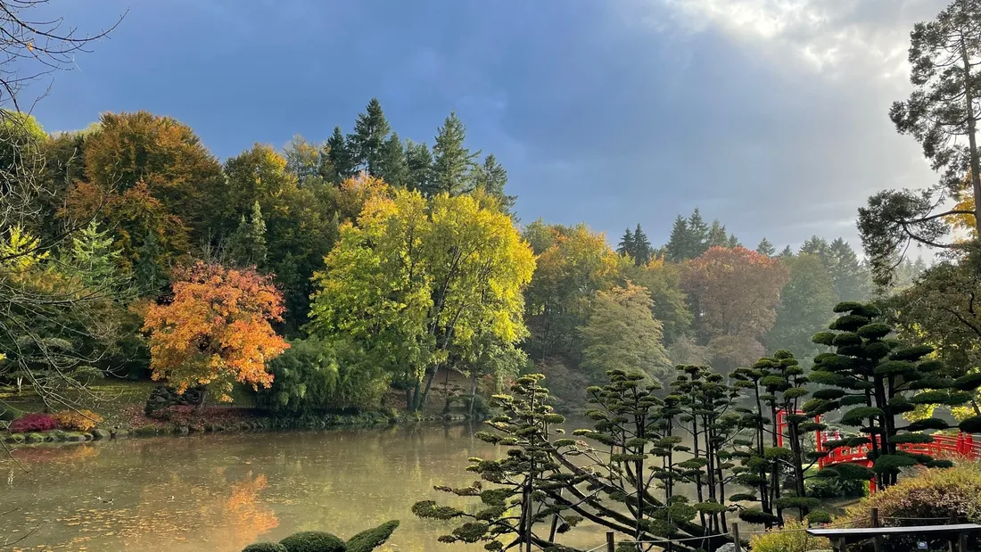  Parc oriental de Maulévrier