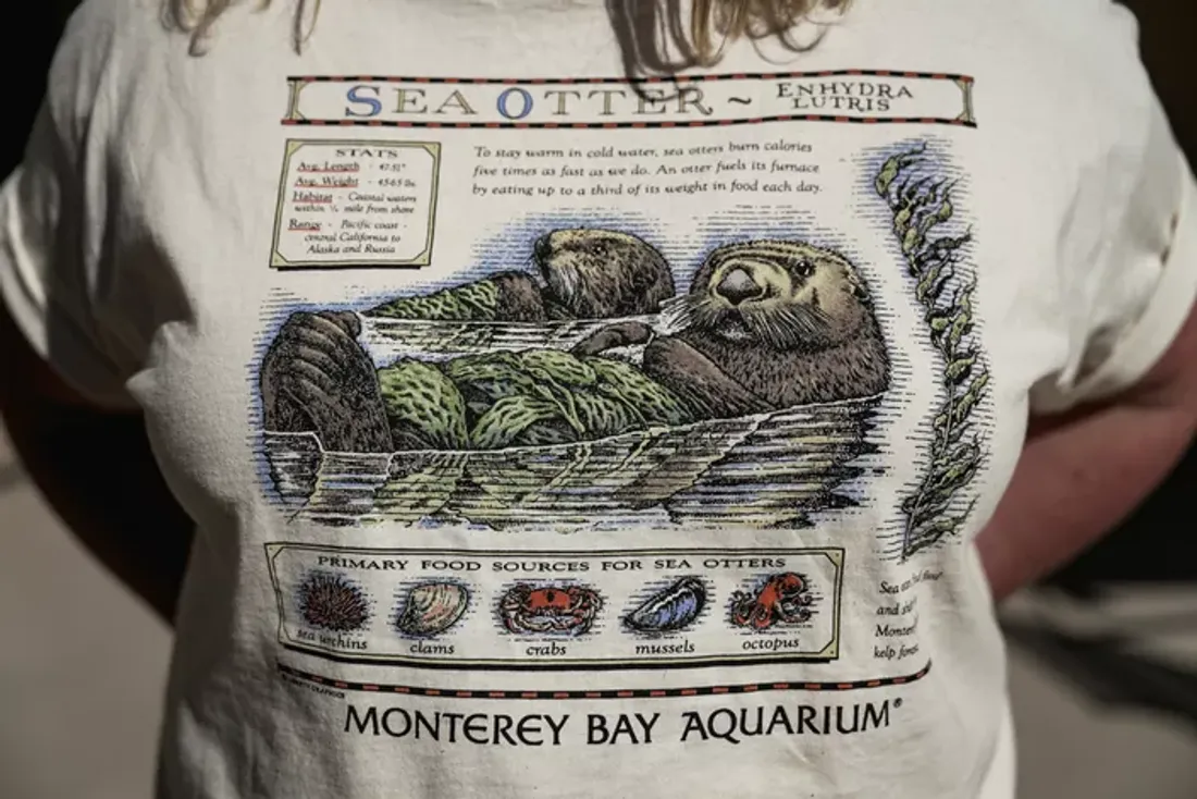 Le t-shirt que portait Taylor Swift à sa soirée de lancement