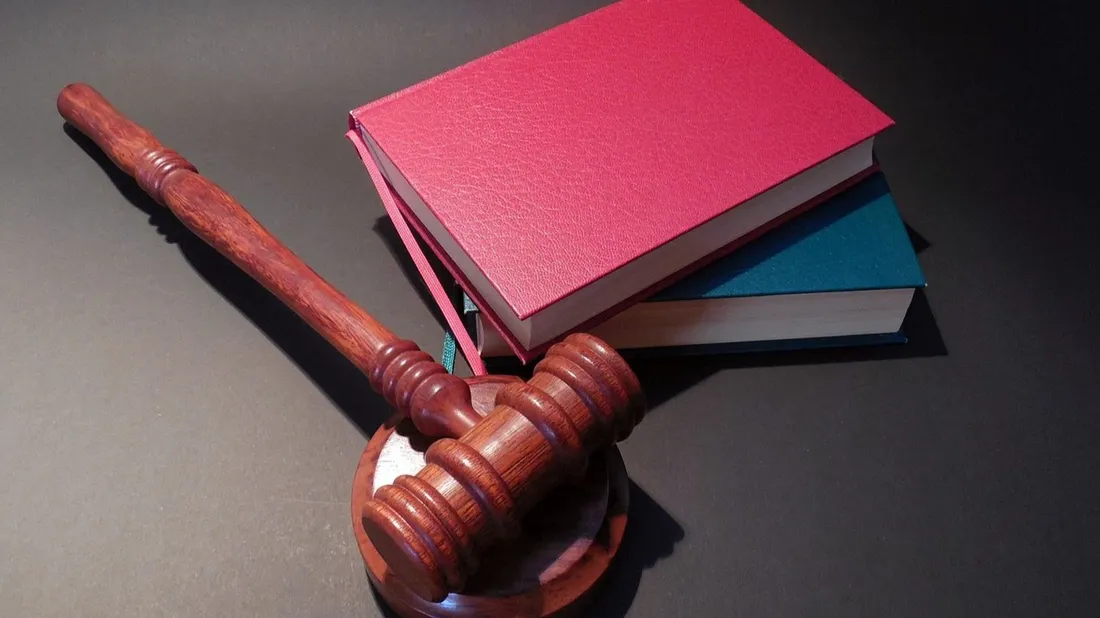 Certaines pièces pourraient partir à plus de 1500 euros.