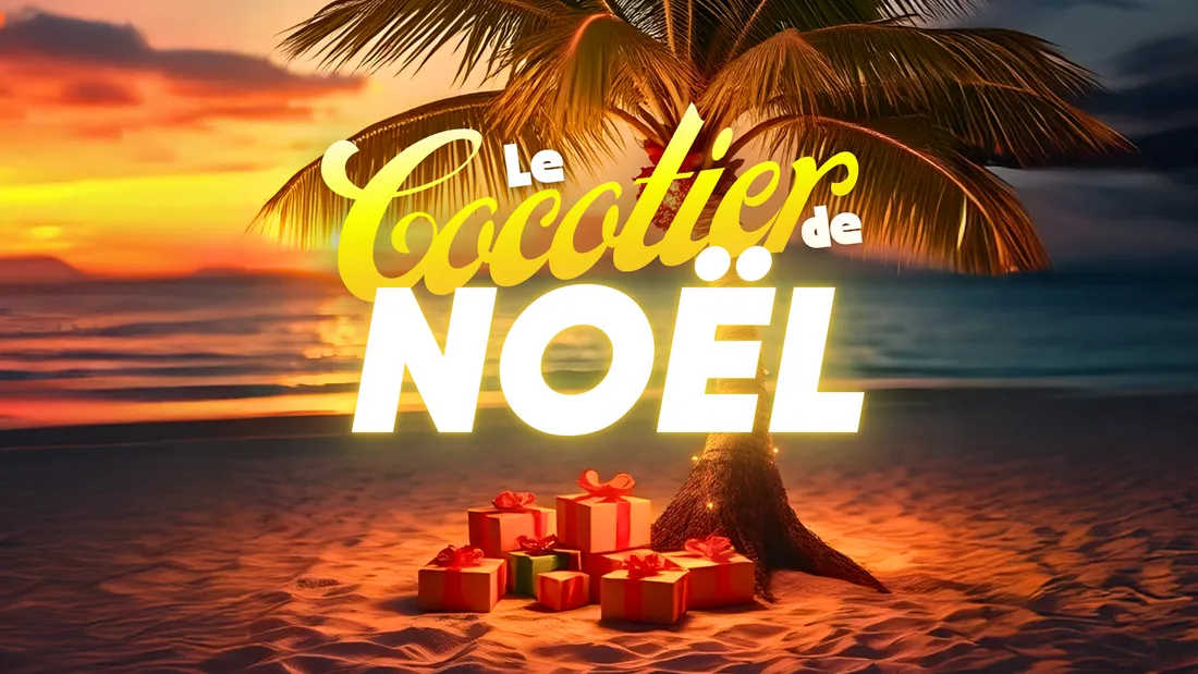 COCOTIER_2025_WEB_BASE_PAGE