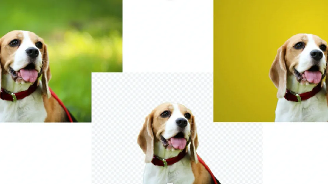 Comment flouter le fond d’une photo avec les réglages spéciaux de l’appareil et un éditeur graphique