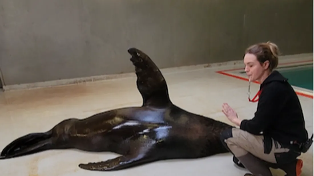 Le parc zoologique de Paris fête ses 10 ans de réouverture