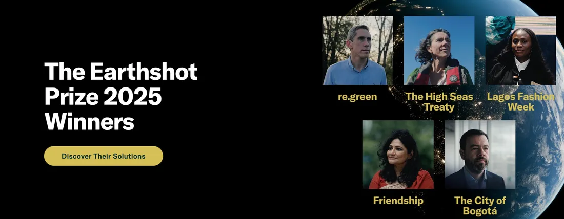Les lauréats 2025 de l'Earthshort Prize