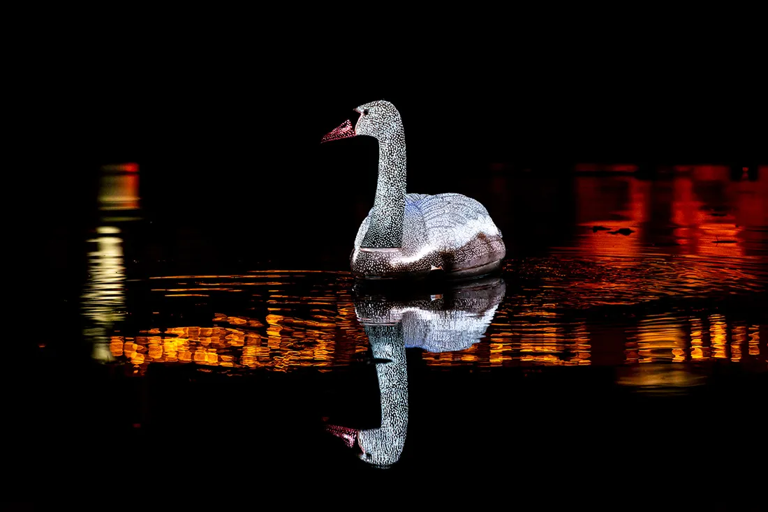 Cygnus, une création pour l'édition 2022 de Lumières en Seine.