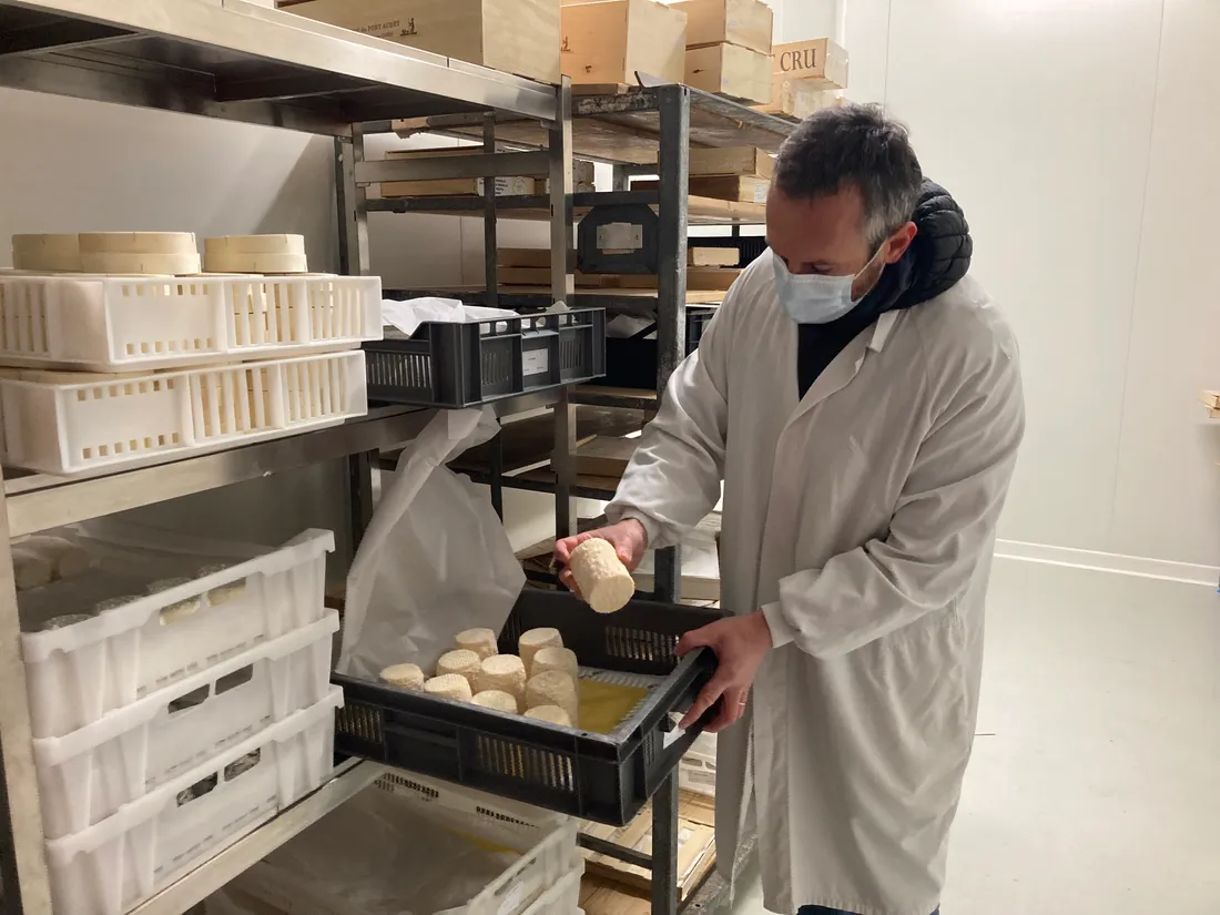 Les fromages de chèvre seront affinés directement au MIN