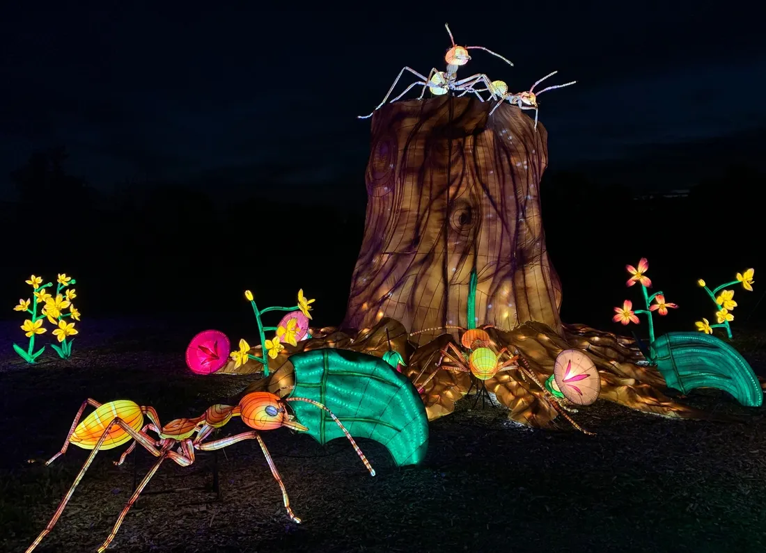 Des fourmis agrandies pour l'occasion se baladent dans les jardins de Thoiry.