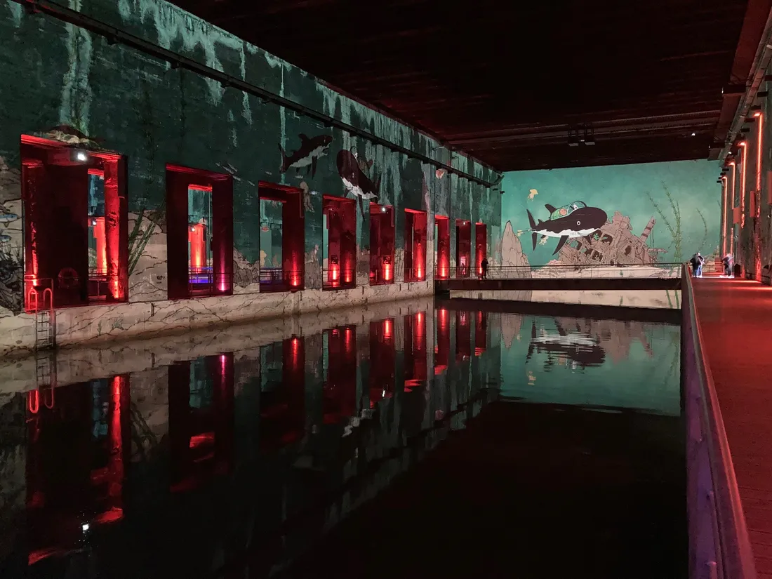 "Tintin l'aventure immersive" au Bassin de Lumières
