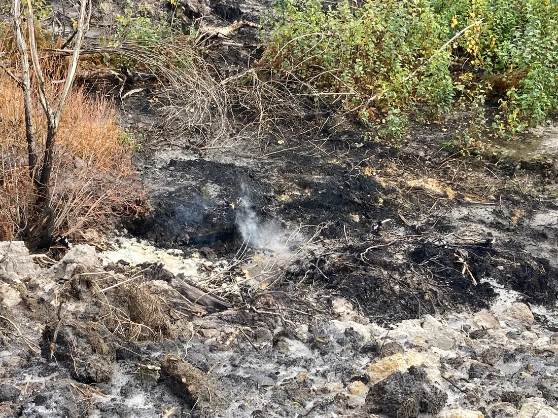 Des fumées sortent encore des sols de la forêt d'Hostens