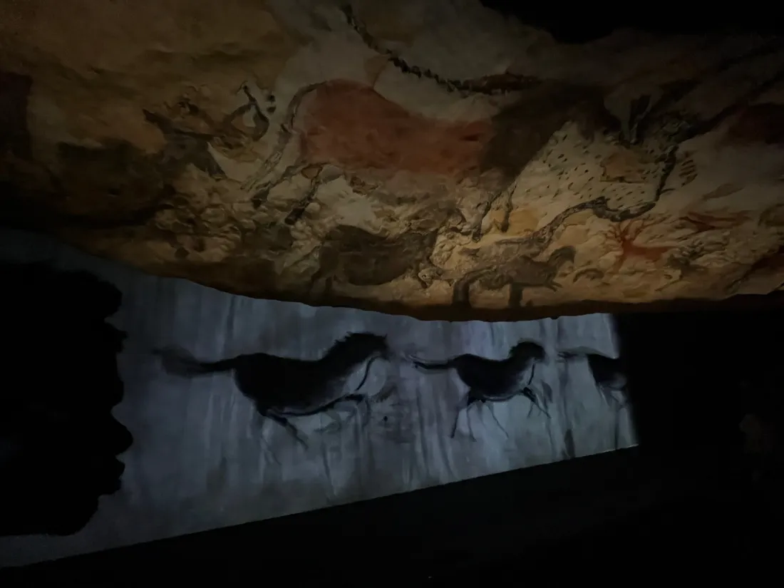 Cap Sciences-Lascaux l'exposition internationale