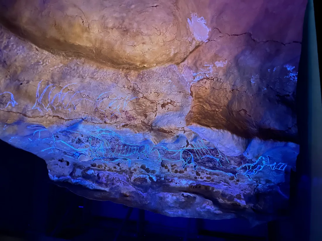 Cap Sciences-Lascaux l'exposition internationale