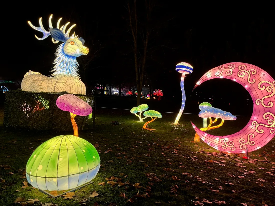 L'Odyssée lumineuse