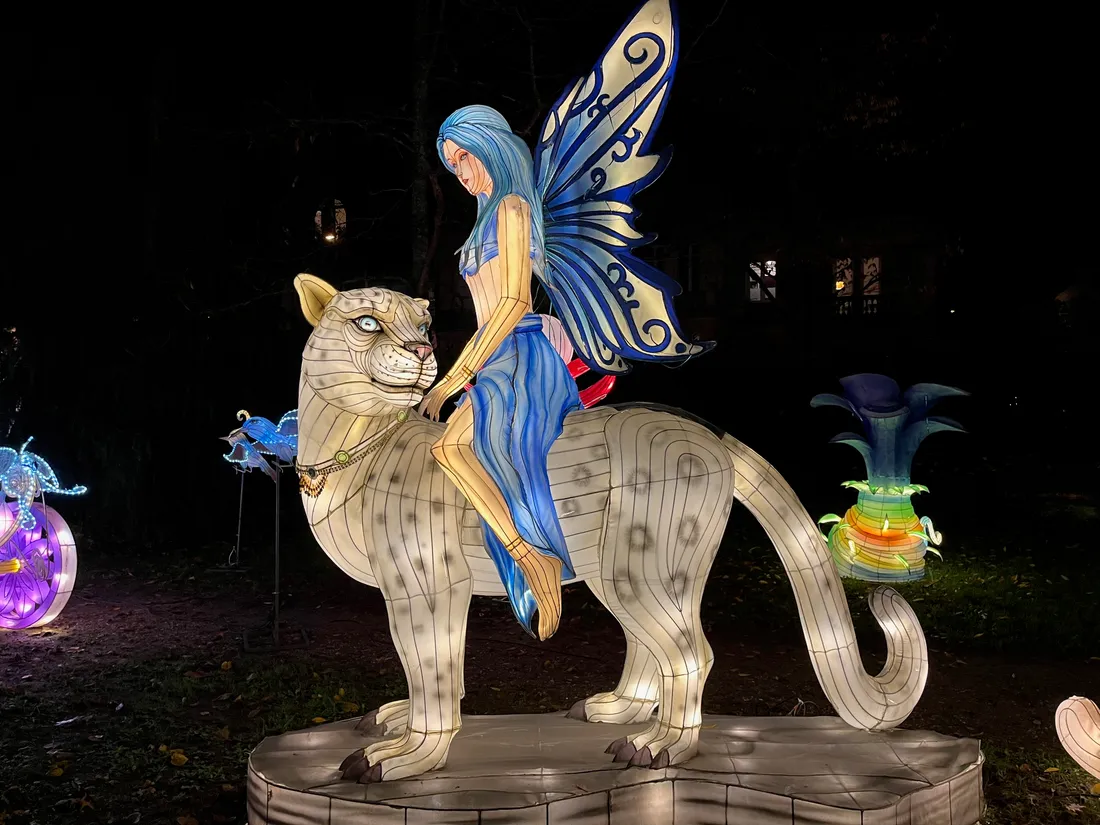 L'Odyssée lumineuse