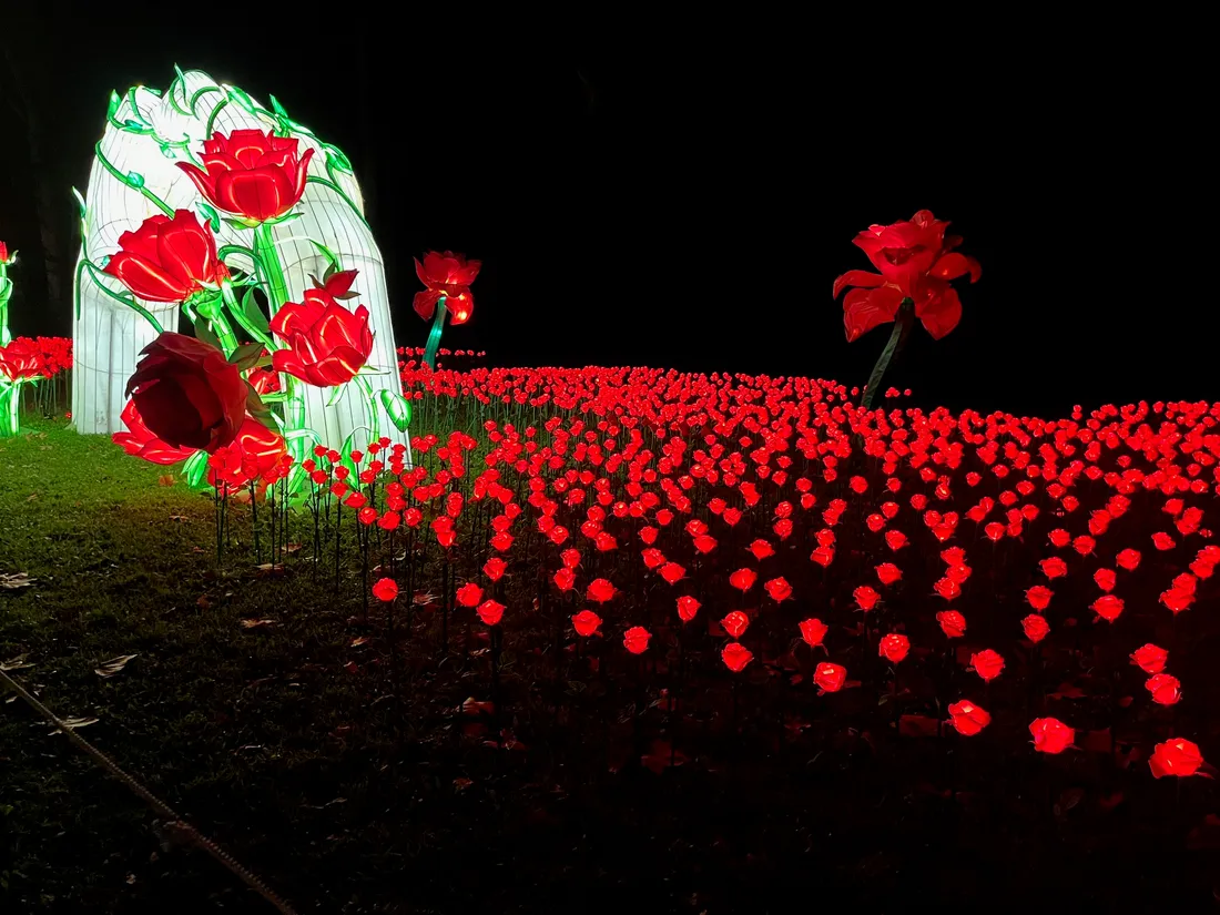 L'Odyssée lumineuse