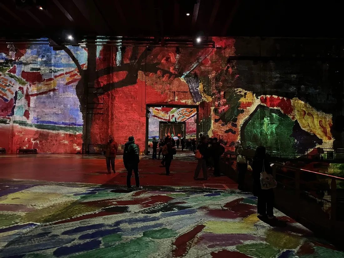 Bassins des Lumières-Henri Matisse