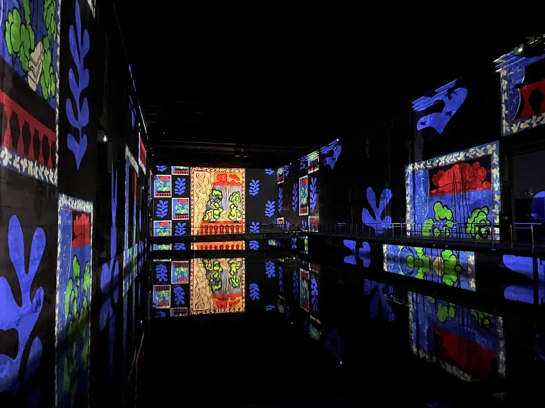 Bassins des Lumières-Henri Matisse