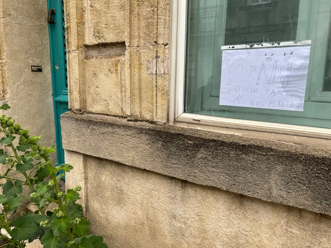 Désherbage Bordeaux