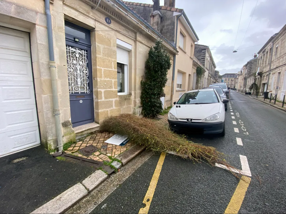 Tempête Nils à Bordeaux