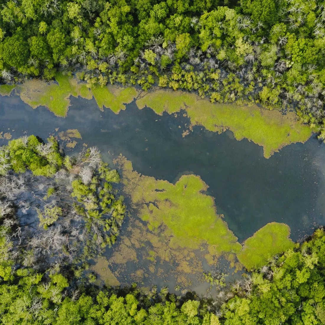 La COP 28 s'est ouverte ce jeudi à Dubaï.