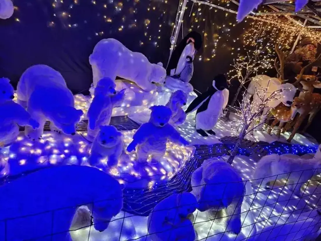 Les ours polaires de Vincent, à Limours en Essonne