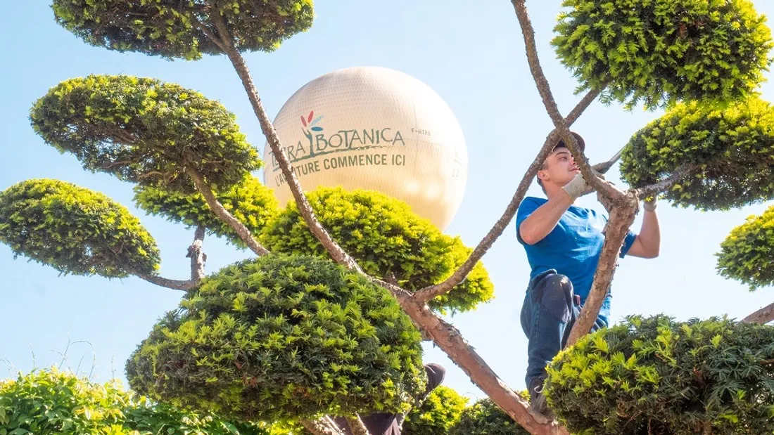 Terra Botanica : 150 postes à pourvoir 
