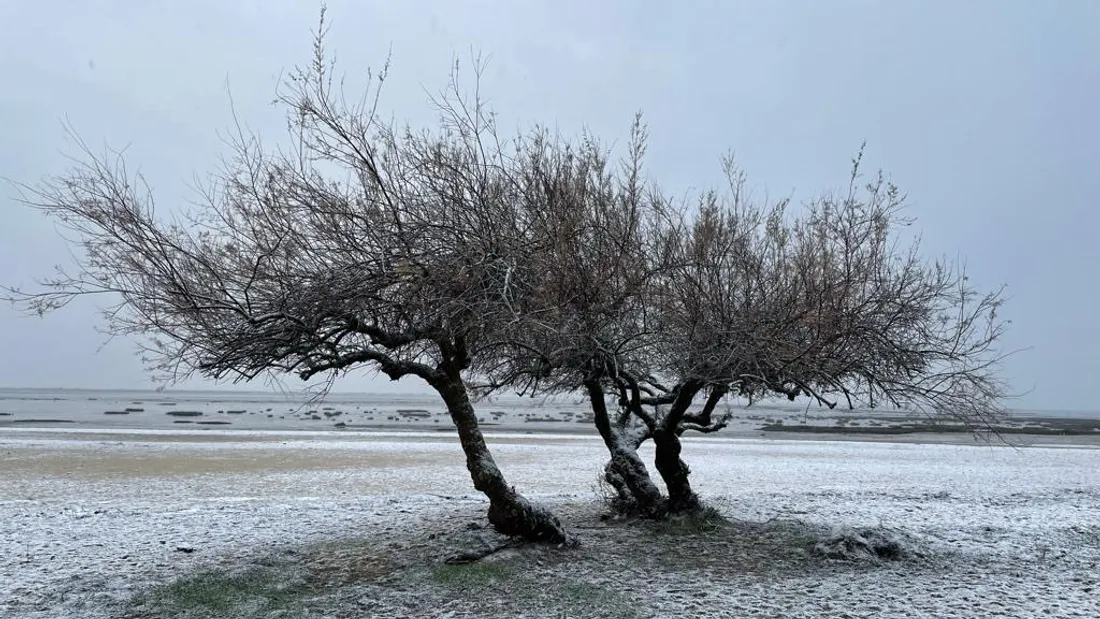 La plage Suzette à Lanton 