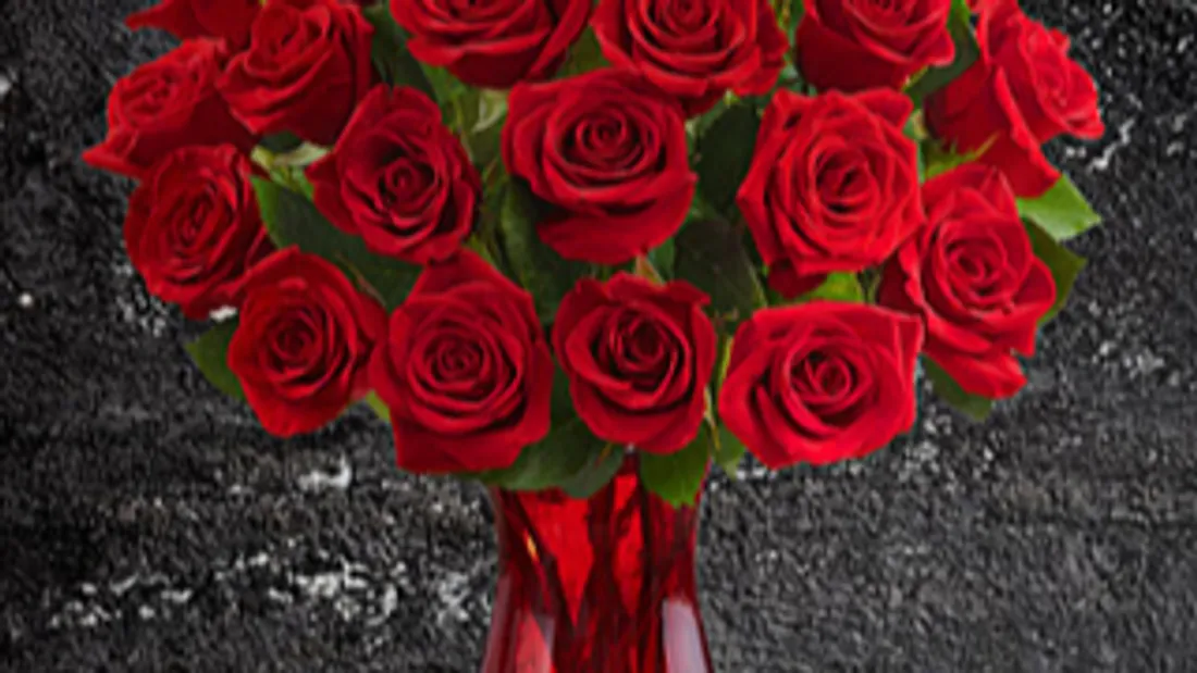 Roses rouges pour la Saint-Valentin