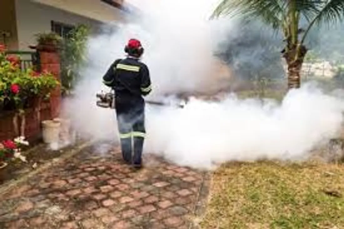 Opération de démoustication à Bergerac