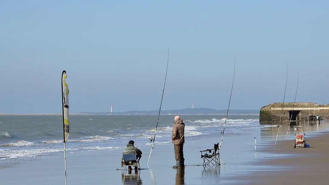 Des pêcheurs à marée basse à Saint-Palais sur Mer, en Charente-Maritime.