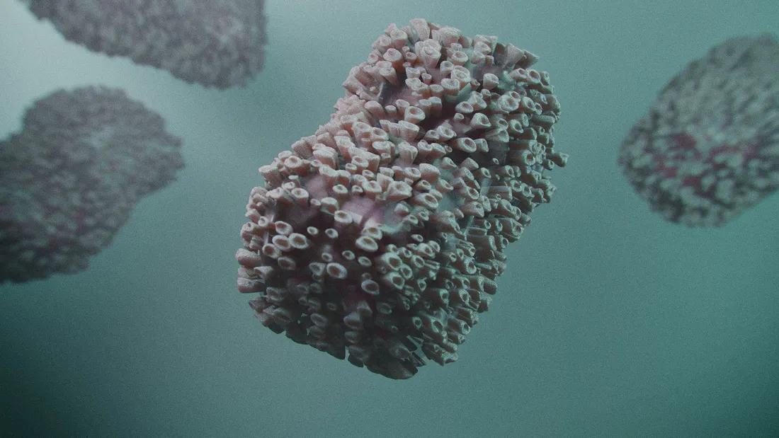 330 cas ont été recensés en France.