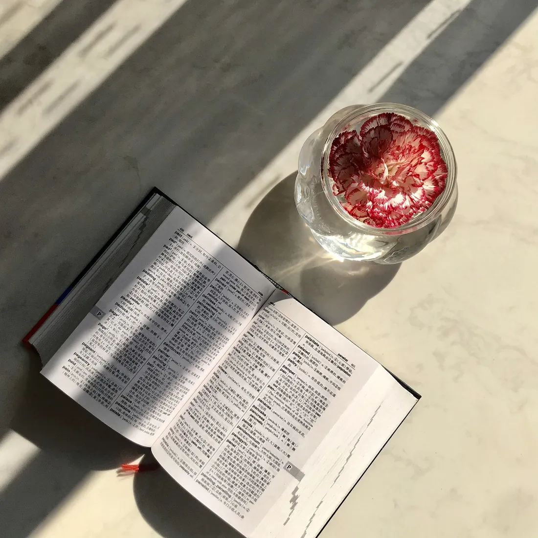 Savez-vous ce que veulent dire les 150 nouveaux mots qui font leur entrée dans le dictionnaire ?