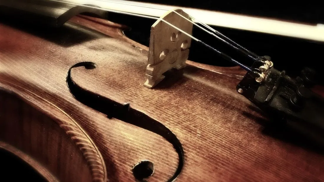Violon